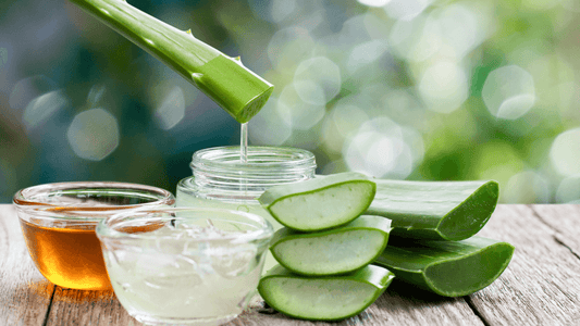 Aloe Vera 101: Everything You Need to Know About Using it in Skincare - NaturaXotic