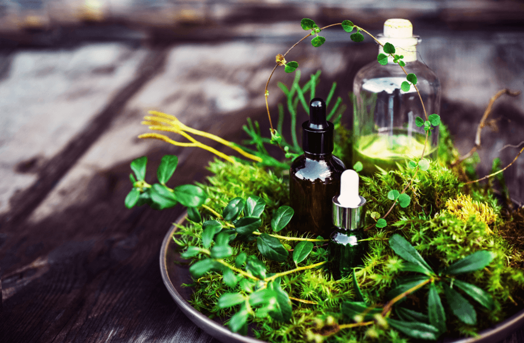 How to Use Green Tea Extract to Effectively Combat Acne! - NaturaXotic