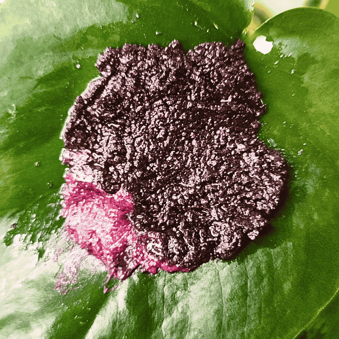 Amazonian Acai Pitaya Texture on Leaf