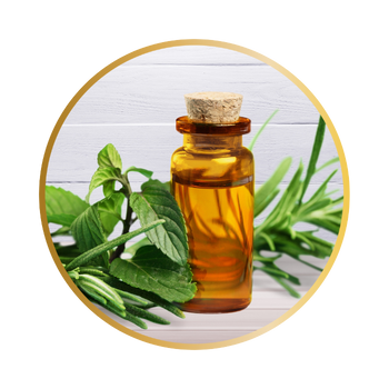 Tea Tree Oil