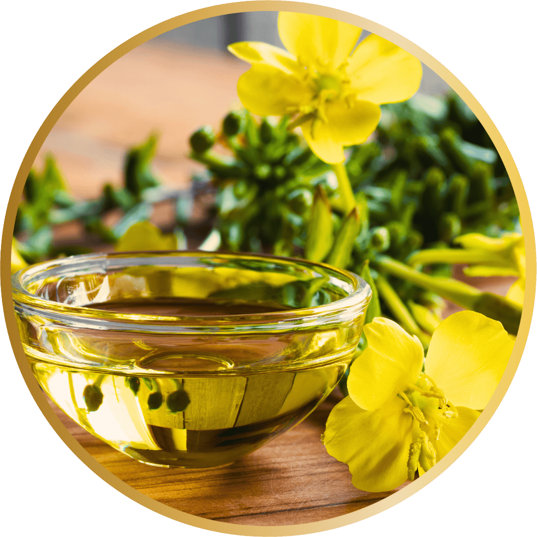 Evening primrose oil